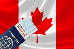 哪种方式移民加拿大最简单？