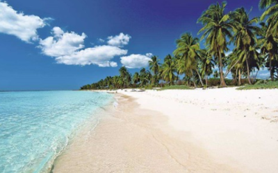 多米尼加移民有哪些好处？