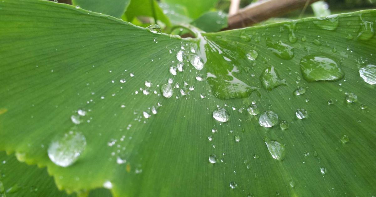 如何让您的希腊房产持续升值？