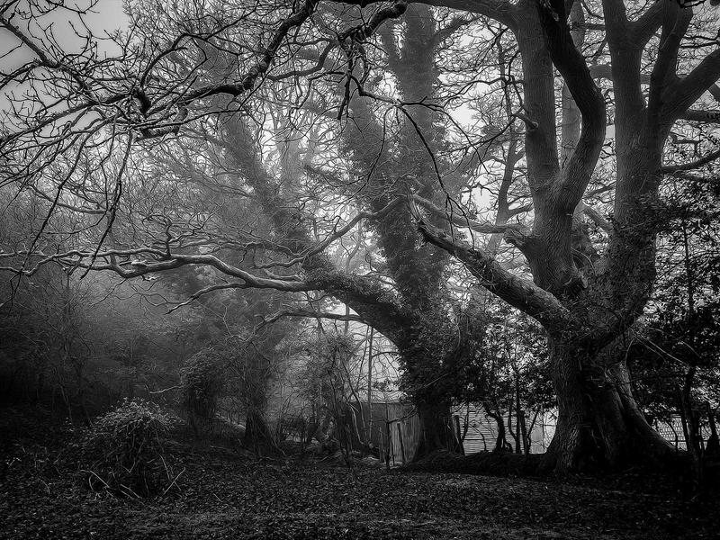 解析圣基茨移民适合哪几类人